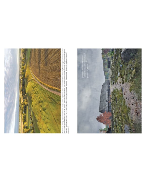 История викингов. Дети Ясеня и Вяза