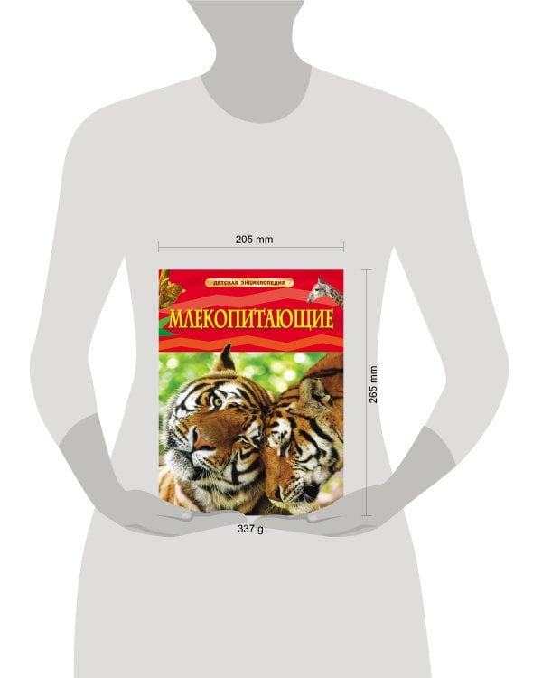 Млекопитающие. Детская энциклопедия