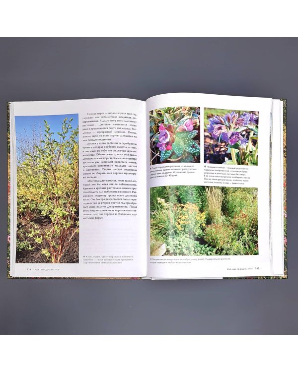 Сад в природном стиле. Нетронутая красота