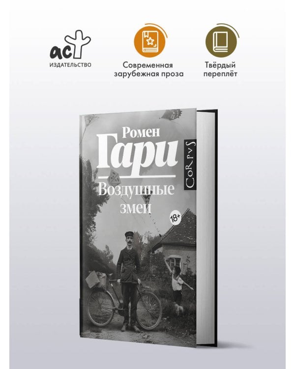 Воздушные змеи