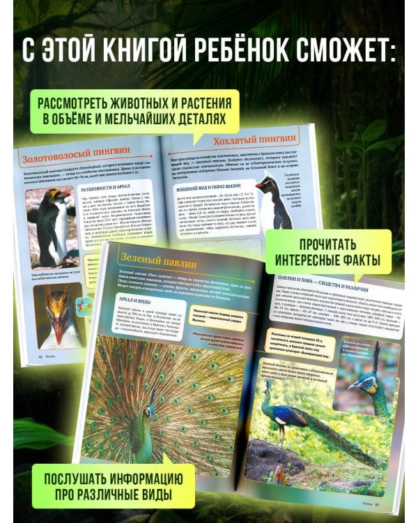 Красная книга