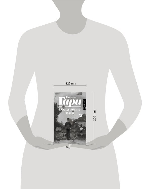 Воздушные змеи