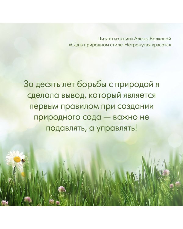 Сад в природном стиле. Нетронутая красота