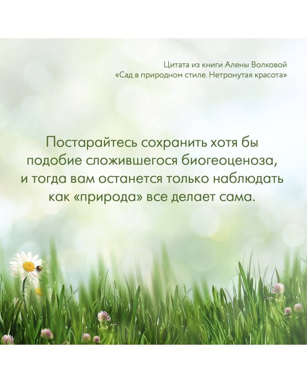 Сад в природном стиле. Нетронутая красота