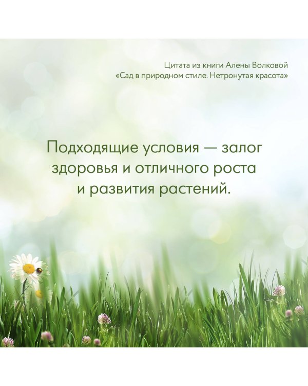 Сад в природном стиле. Нетронутая красота