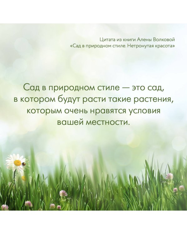 Сад в природном стиле. Нетронутая красота