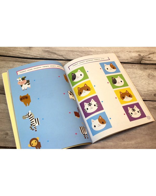 Развиваем логическое мышление: для детей 4–5 лет (с наклейками)