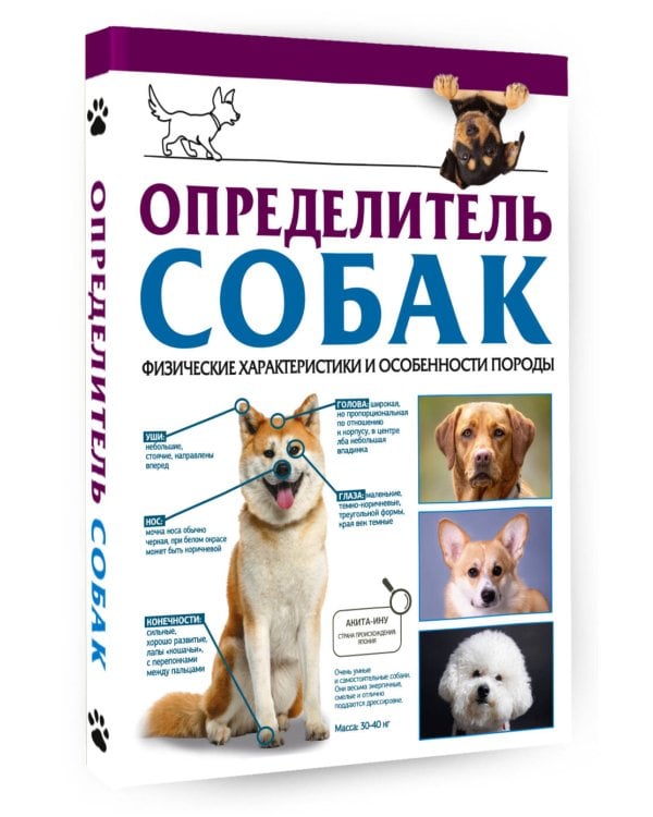 Определитель собак. Физические характеристики и особеннности породы