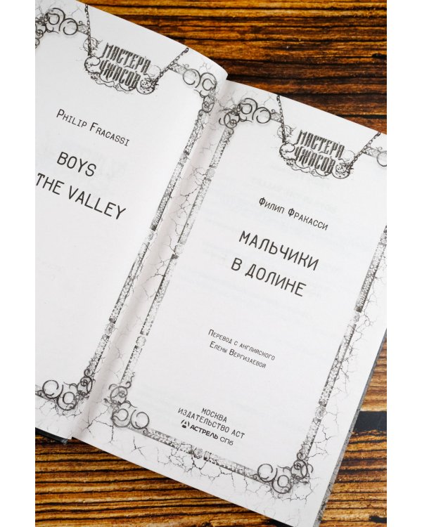 Мальчики в долине