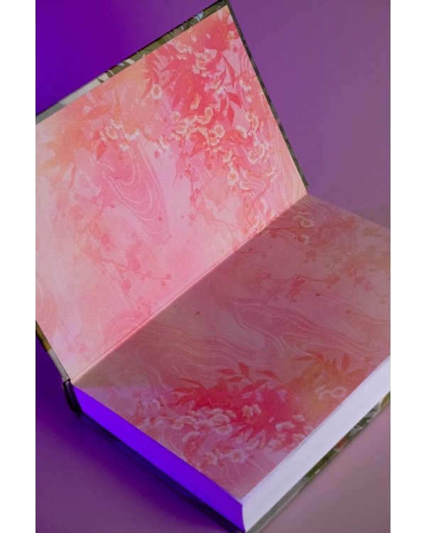 Покорение дворца Яньси. Том 1. Путь служанки