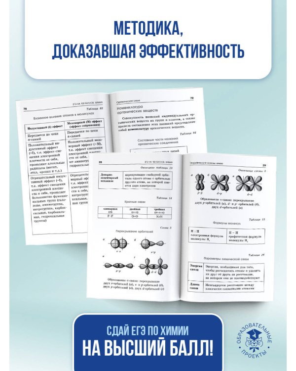 ЕГЭ. Химия. ЕГЭ на 100 баллов. Справочник: Теория и практика