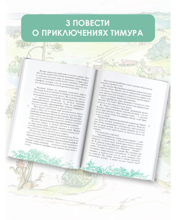 Тимур и его команда