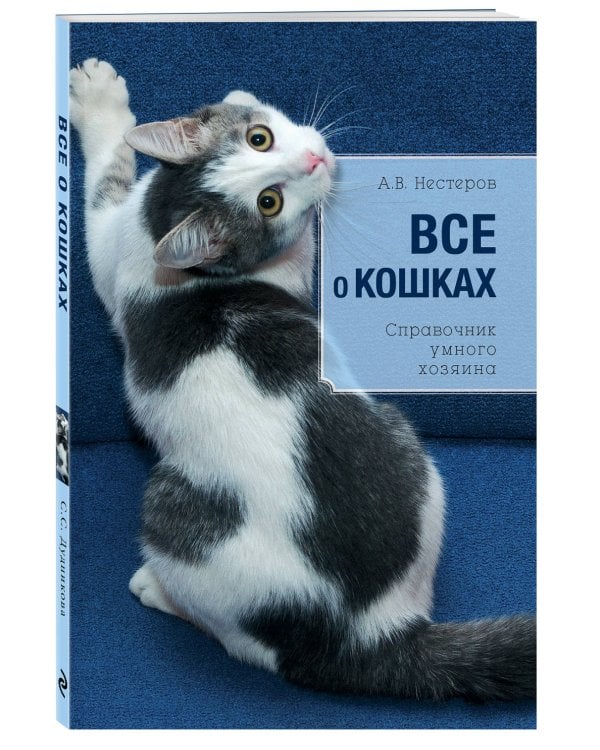 Все о кошках