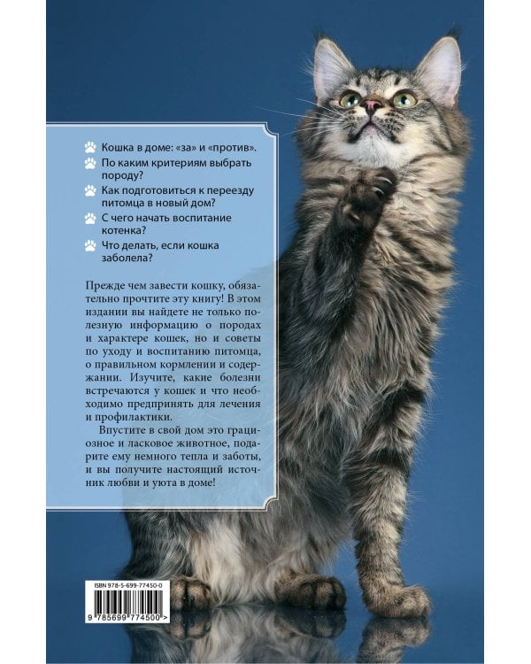 Все о кошках