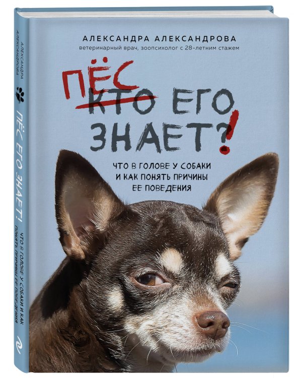 Пес его знает! Что в голове у собаки, и как понять причины ее поведения