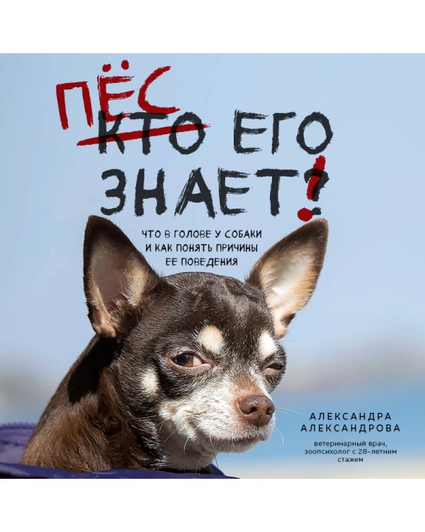 Пес его знает! Что в голове у собаки, и как понять причины ее поведения