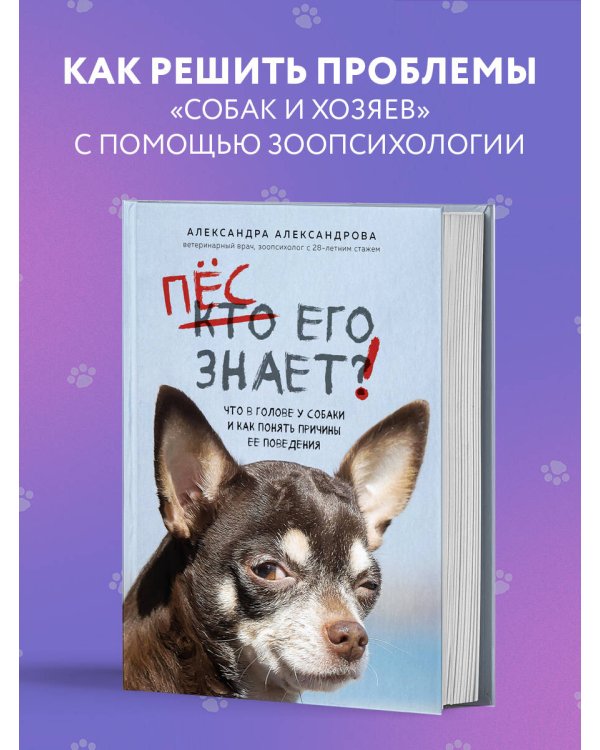 Пес его знает! Что в голове у собаки, и как понять причины ее поведения