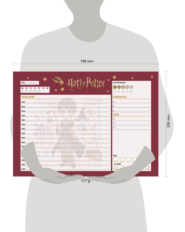 Планер настольный с отрывными листами. Гарри Поттер. Коллекция "Cute kids" (24х17 см, 48 л.)