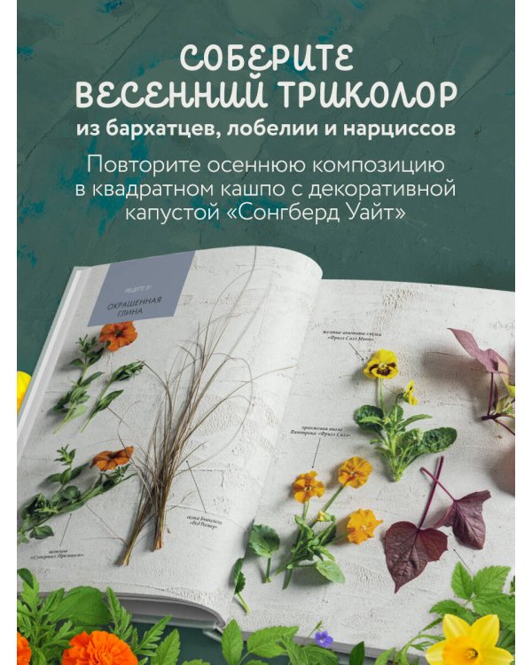 Магия контейнерного сада. Цветочный дизайн террас, веранд, балконов, патио и маленьких садов