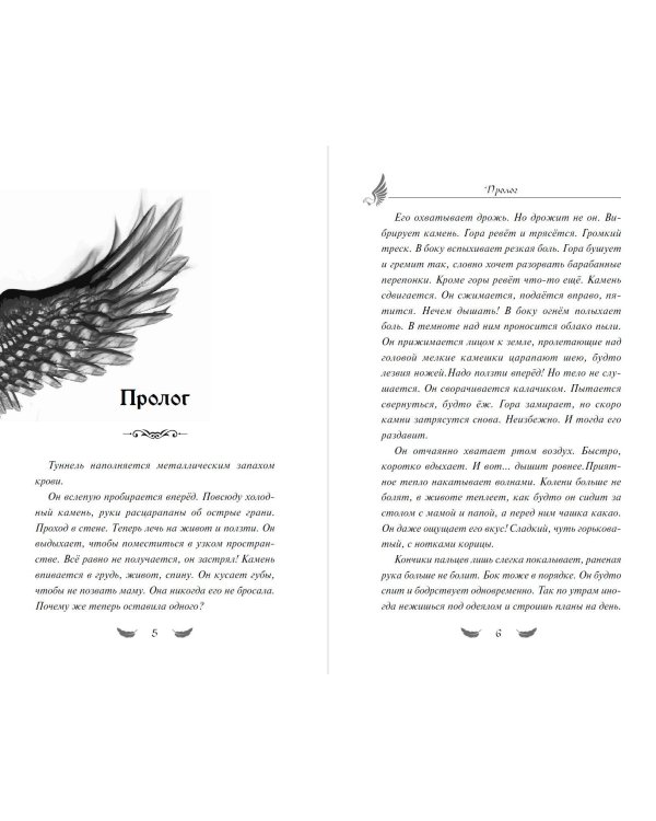 Соколиный пик. Стражи небес (#1)