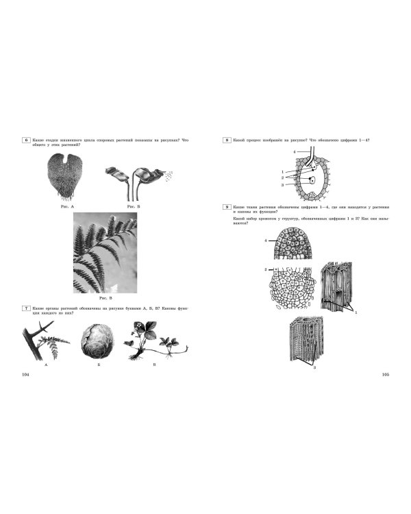 ЕГЭ-2024. Биология. Тематические тренировочные задания