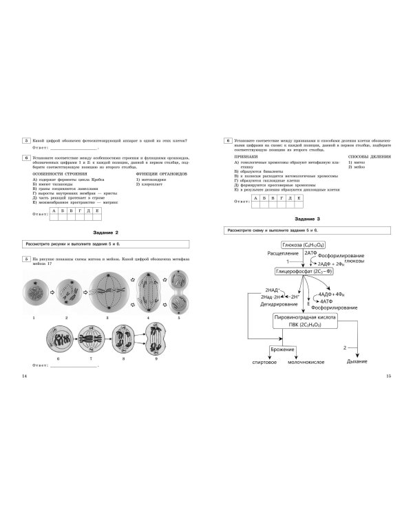 ЕГЭ-2024. Биология. Тематические тренировочные задания