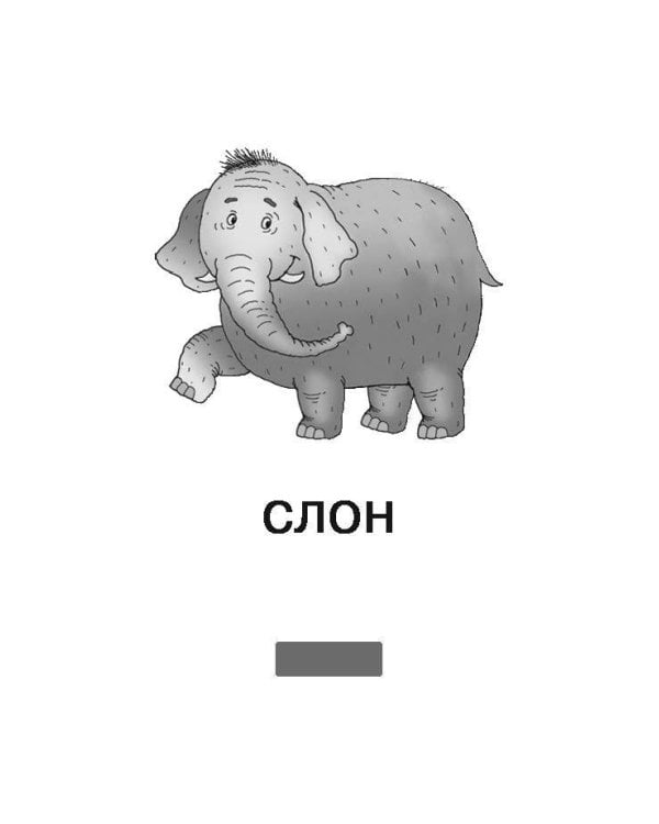 100 первых английских слов. Набор карточек