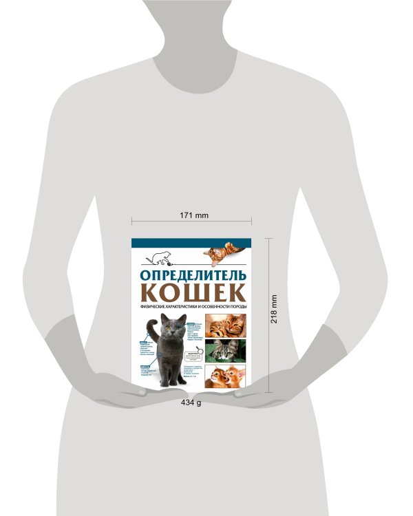 Определитель кошек. Физические характеристики и особенности породы