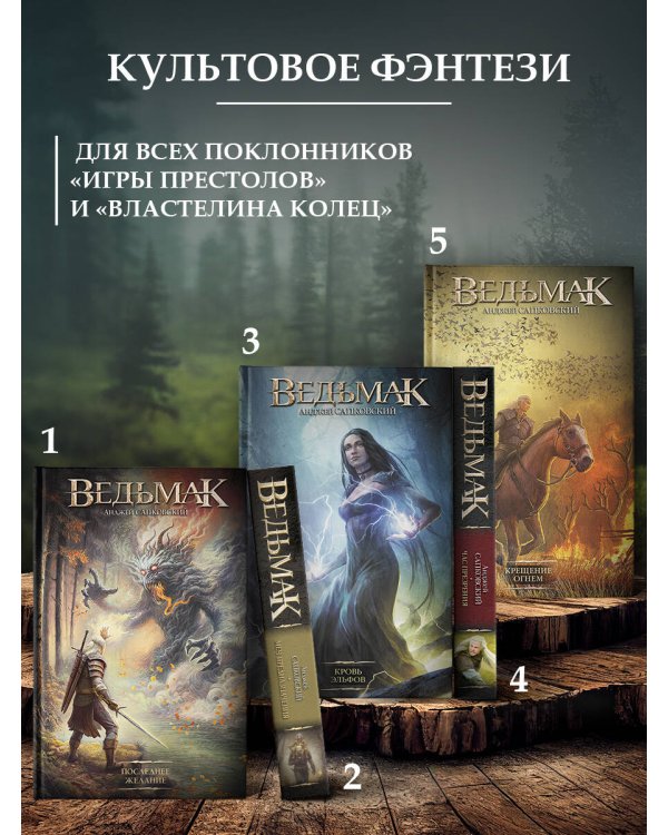 Меч Предназначения (новая обложка)