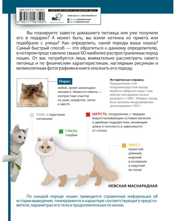 Определитель кошек. Физические характеристики и особенности породы