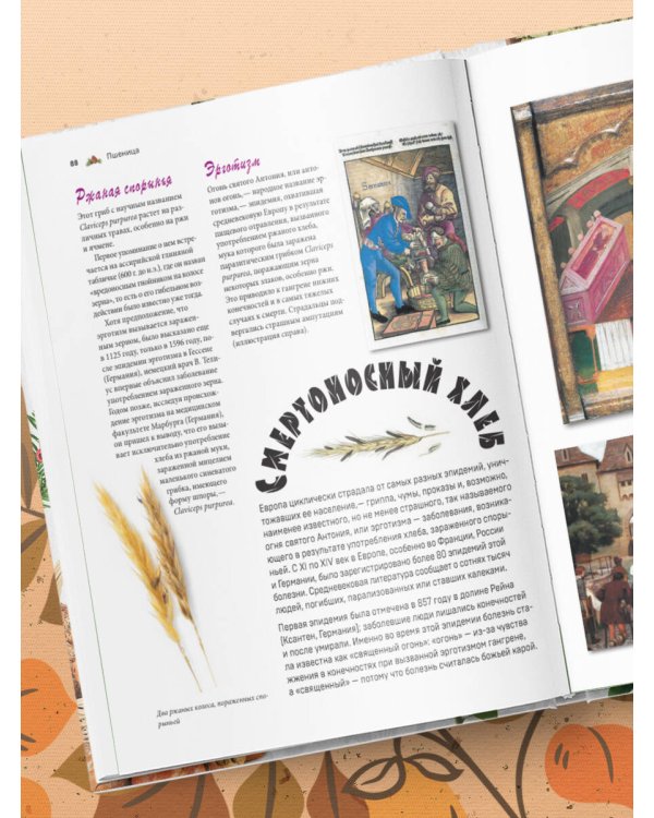 Семена и зерна. Иллюстрированный атлас. Удивительные факты о сельскохозяйственных культурах и их влияние на развитие человечества