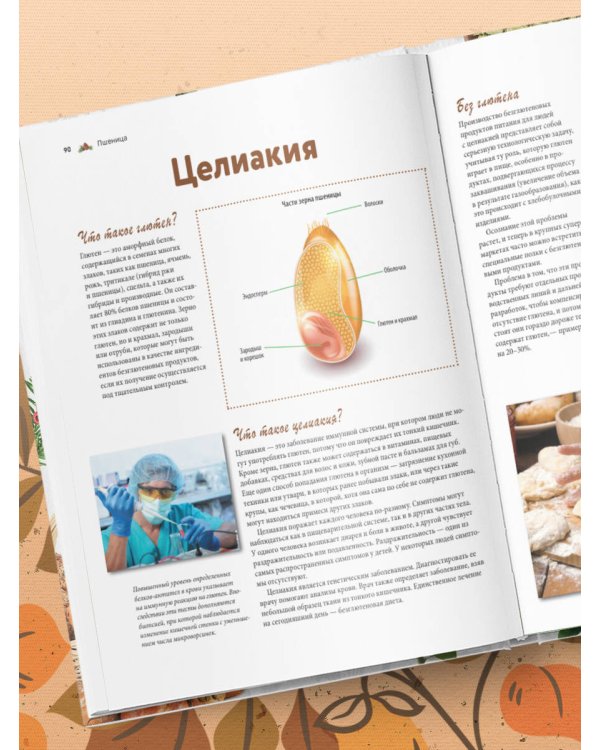 Семена и зерна. Иллюстрированный атлас. Удивительные факты о сельскохозяйственных культурах и их влияние на развитие человечества