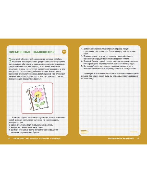 Насекомые. Мир крылатых, многоногих и жужжащих