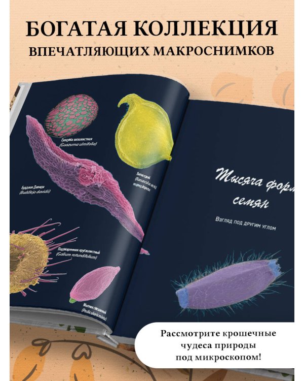 Семена и зерна. Иллюстрированный атлас. Удивительные факты о сельскохозяйственных культурах и их влияние на развитие человечества