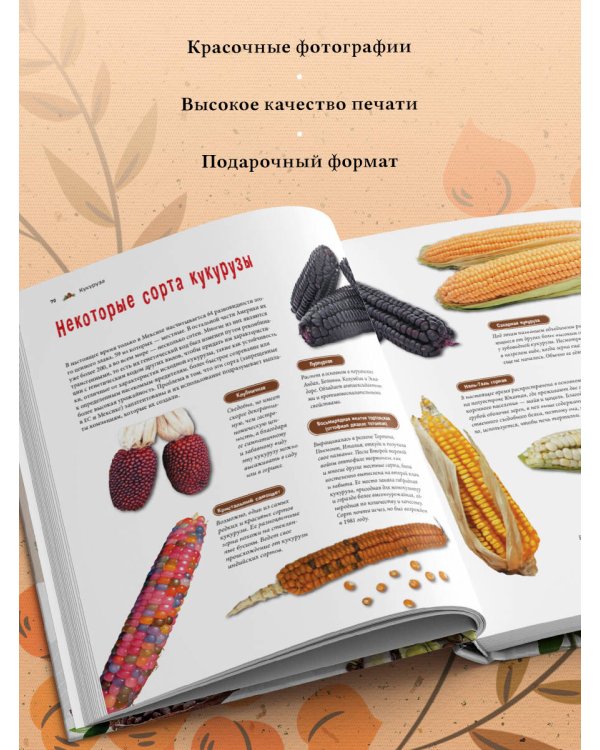 Семена и зерна. Иллюстрированный атлас. Удивительные факты о сельскохозяйственных культурах и их влияние на развитие человечества
