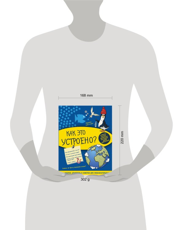 Как это устроено?