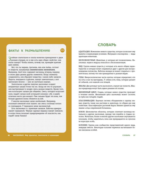 Насекомые. Мир крылатых, многоногих и жужжащих