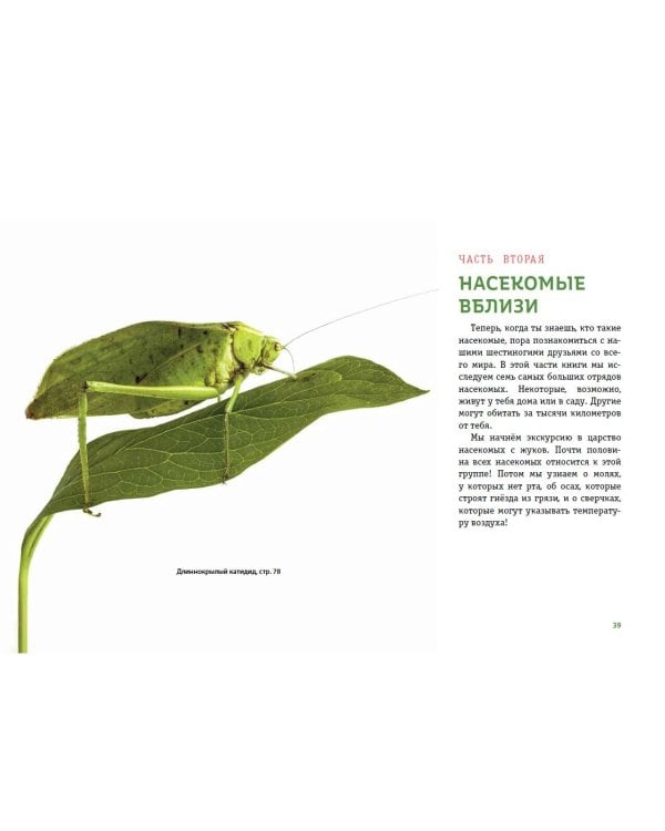 Насекомые. Мир крылатых, многоногих и жужжащих