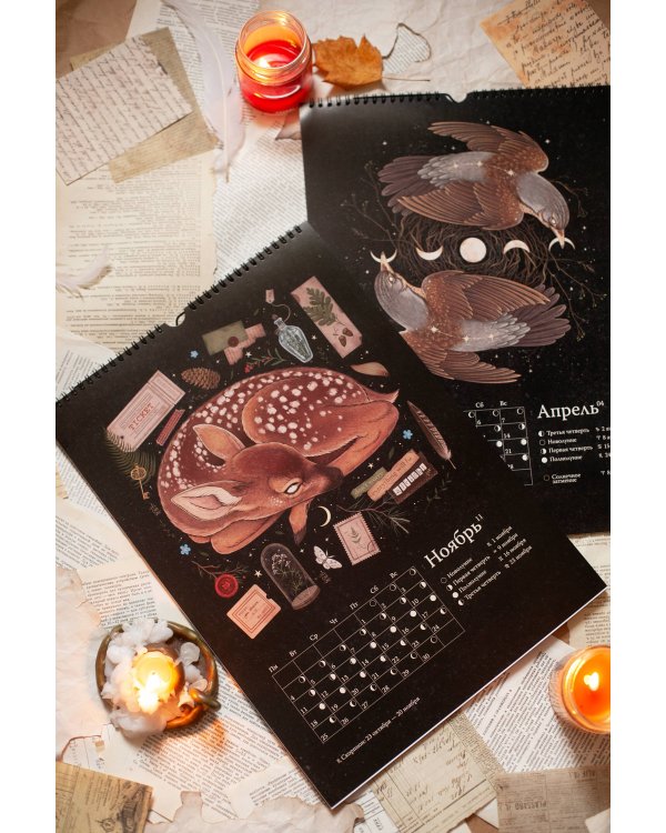 Календарь до 2026 года "Зачарованная ночь" (обложка Сова)