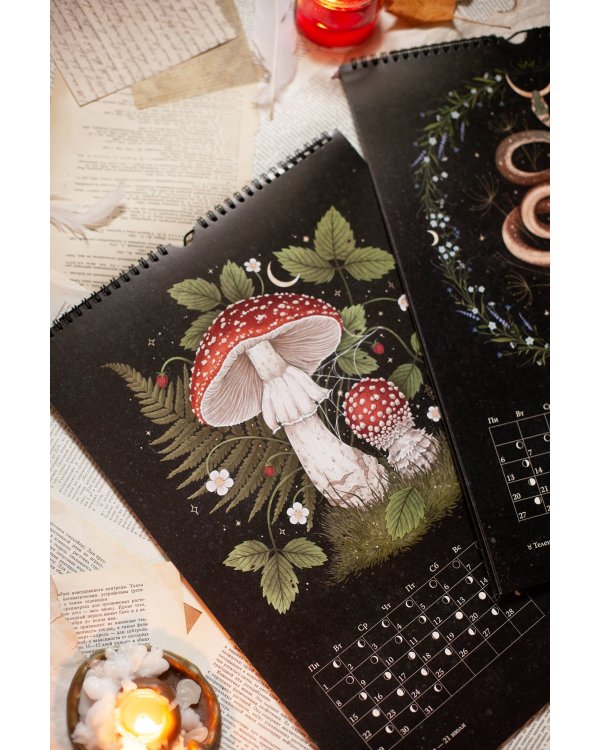 Календарь до 2026 года "Зачарованная ночь" (обложка Сова)