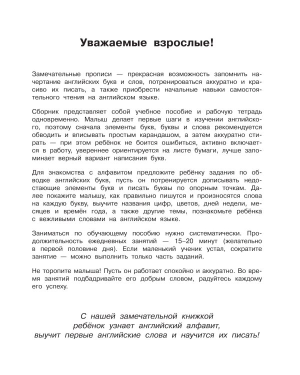 Английский язык