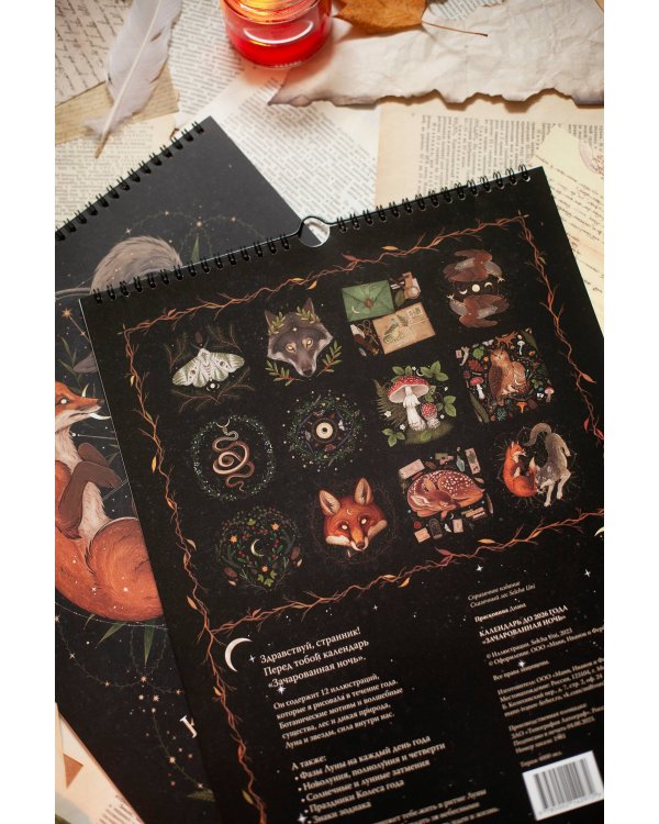 Календарь до 2026 года "Зачарованная ночь" (обложка Сова)