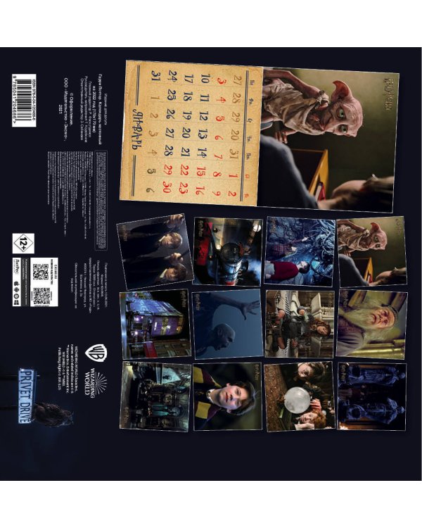 Гарри Поттер. Календарь настенный на 2022 год (170х170 мм)