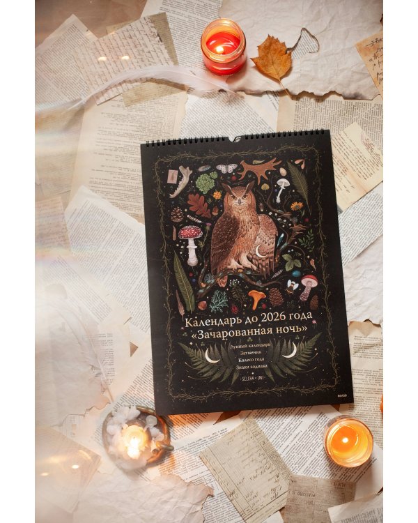 Календарь до 2026 года "Зачарованная ночь" (обложка Сова)