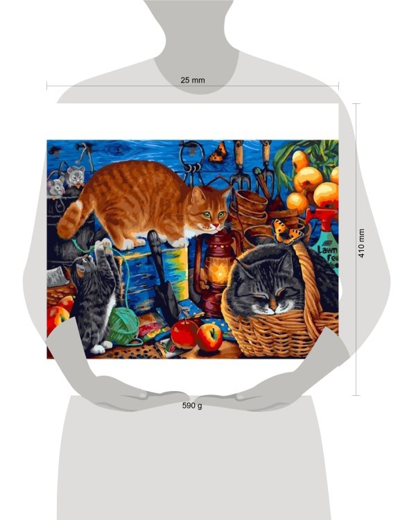 357-AS Наведение порядка