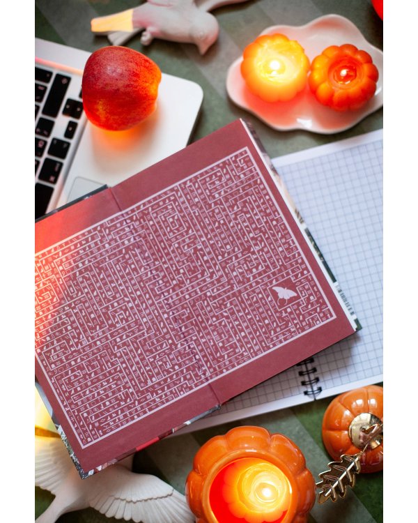 Ястреб Черной Королевы