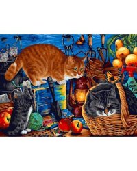 357-AS Наведение порядка