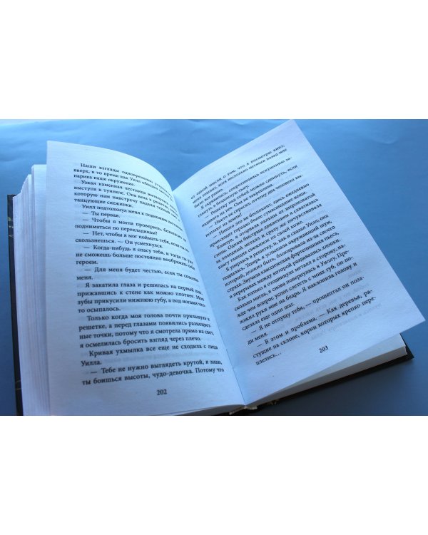 Мощь земли (#2)