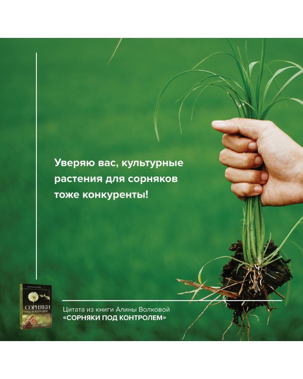 Сорняки под контролем. Избавляемся от нежелательных соседей