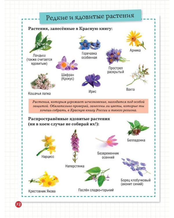 Мой первый гербарий